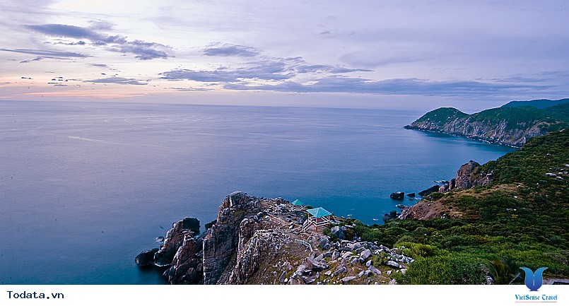 Trải Nghiệm Xứ Hoa Vàng Cỏ Xanh 4 Ngày 3 Đêm - Ảnh 3